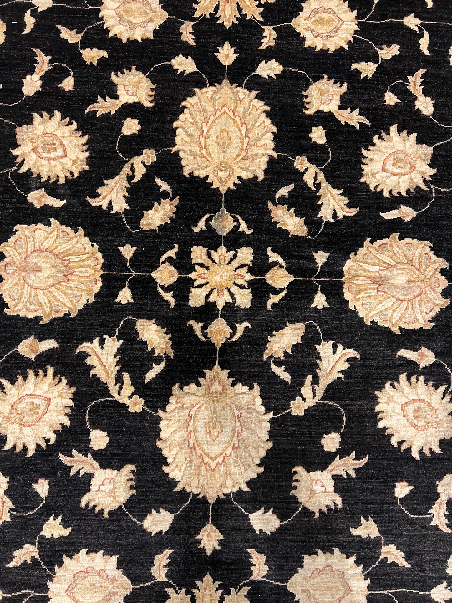 Transitional Usak MP5152 - 8 x 10