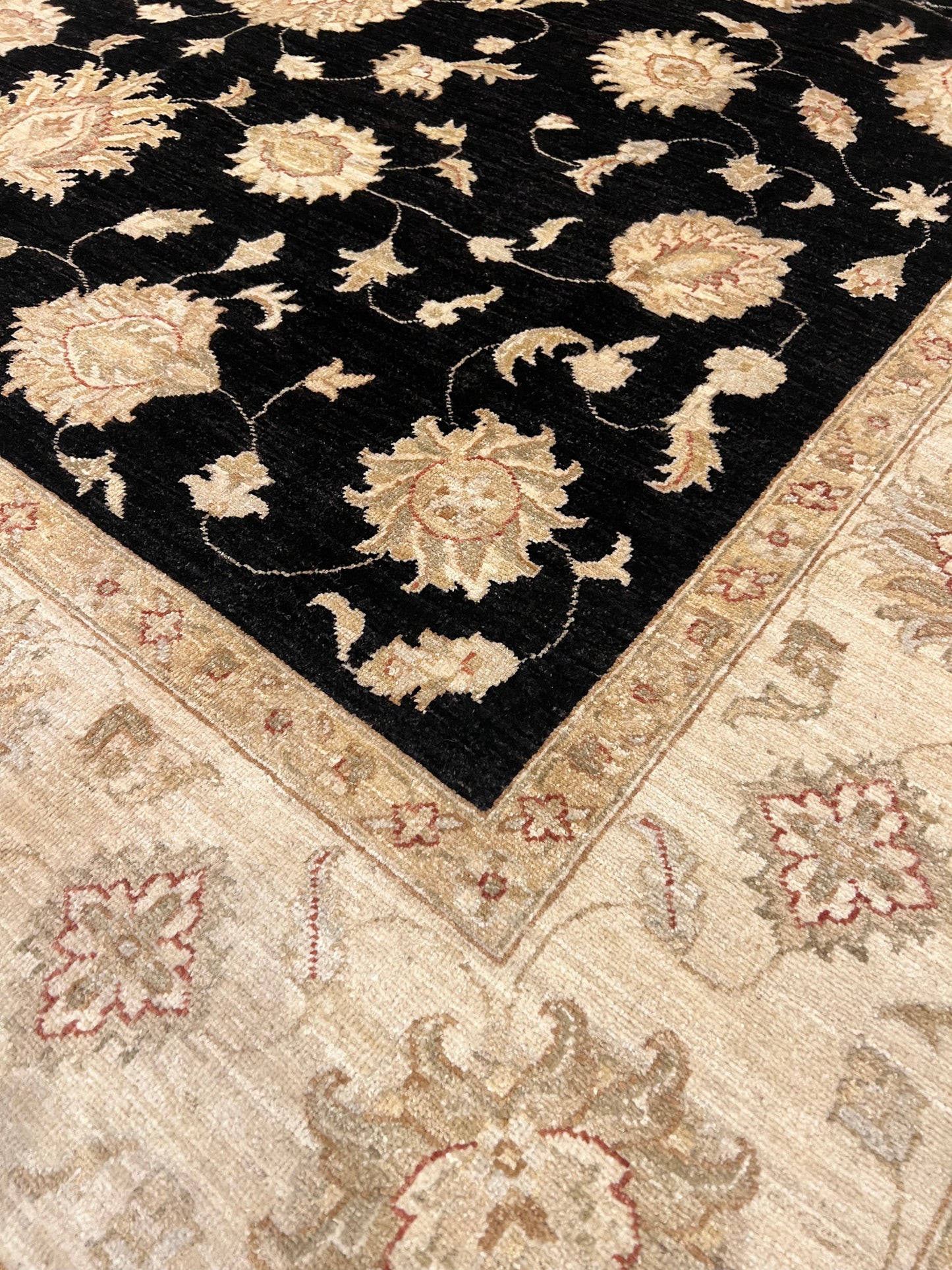 Transitional Usak MP5152 - 8 x 10