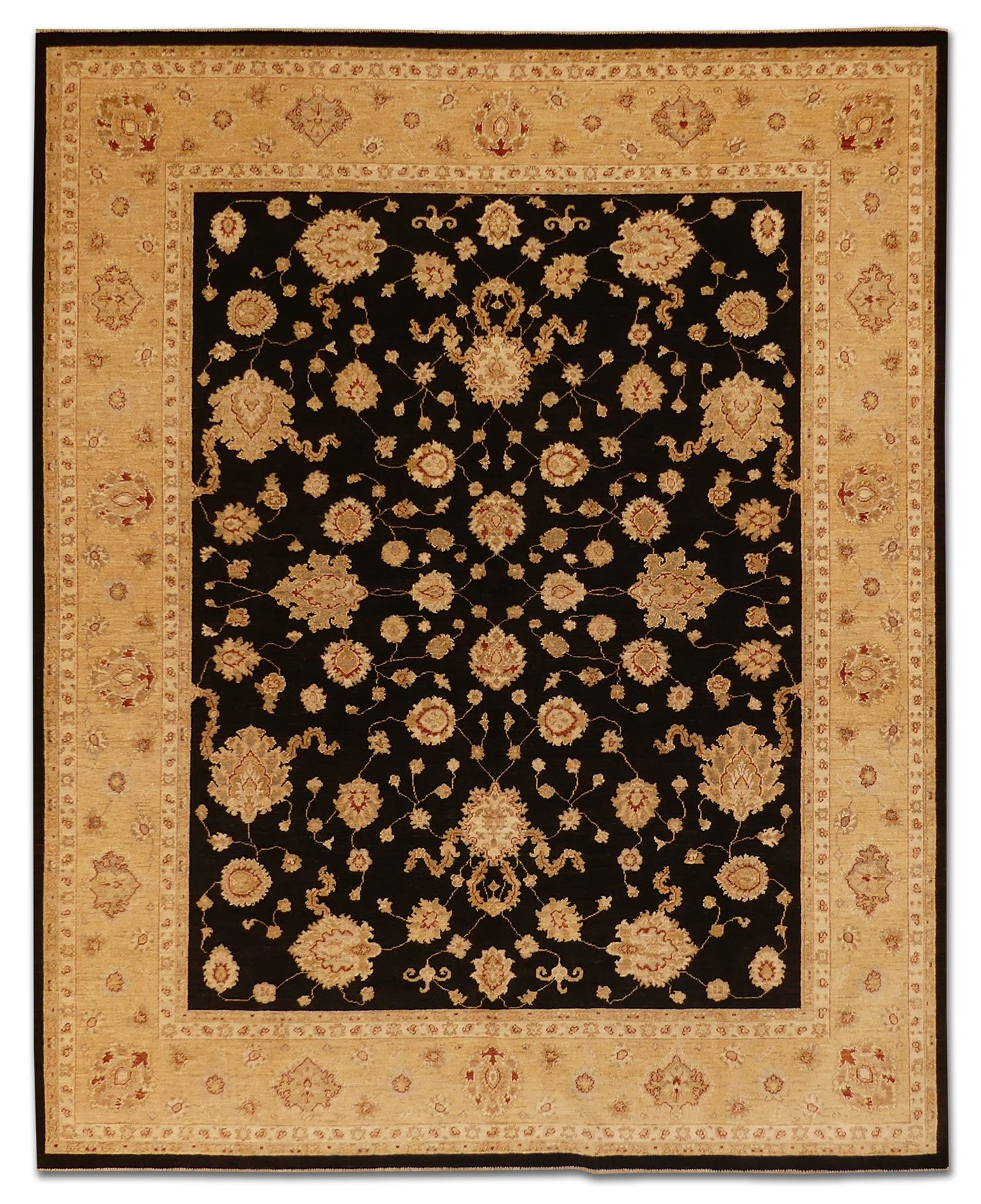 Transitional Usak MP5179 - 7.11 x 9.10