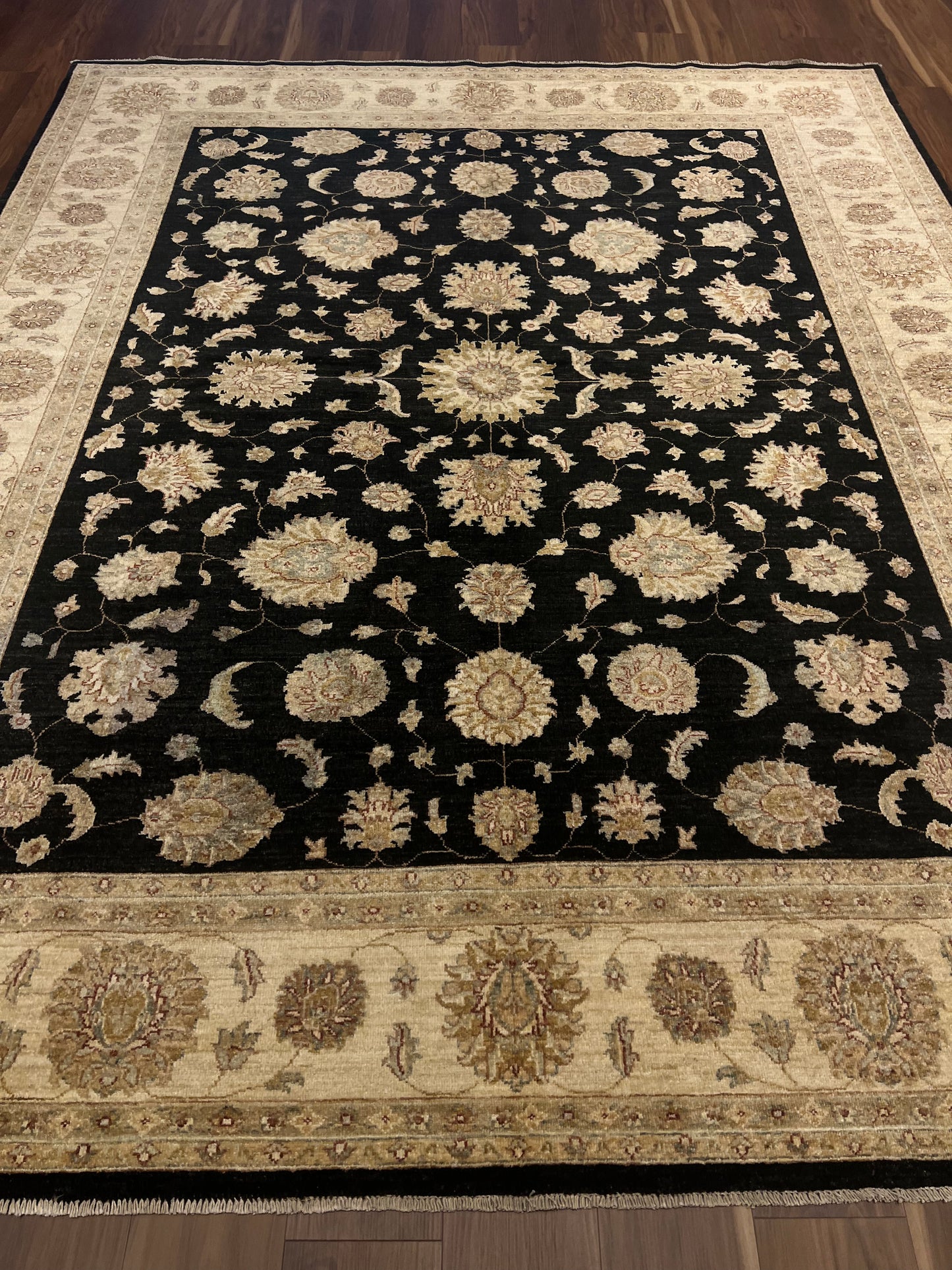 Transitional Usak MP5264 - 8.3 x 10