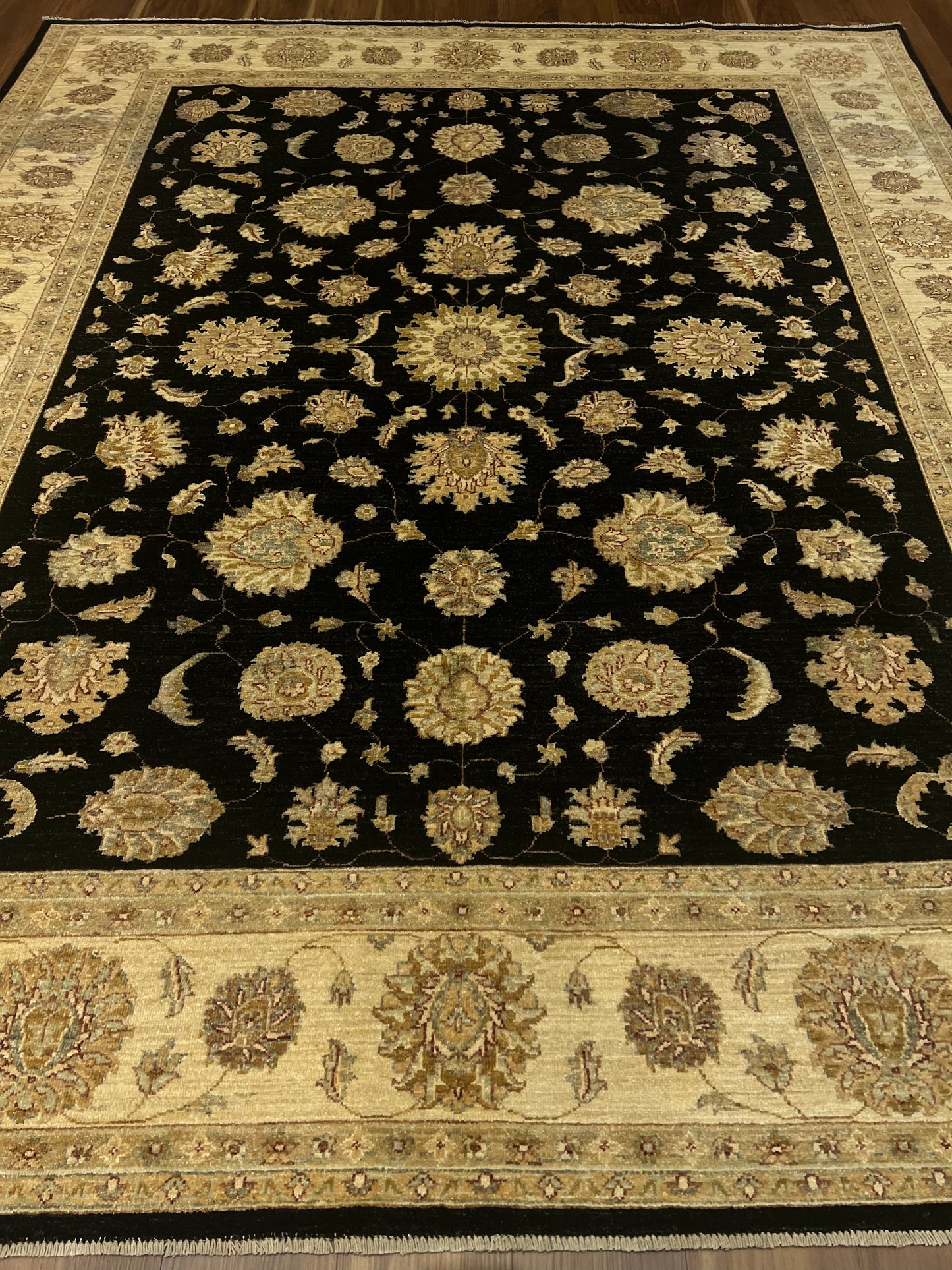 Transitional Usak MP5264 - 8.3 x 10