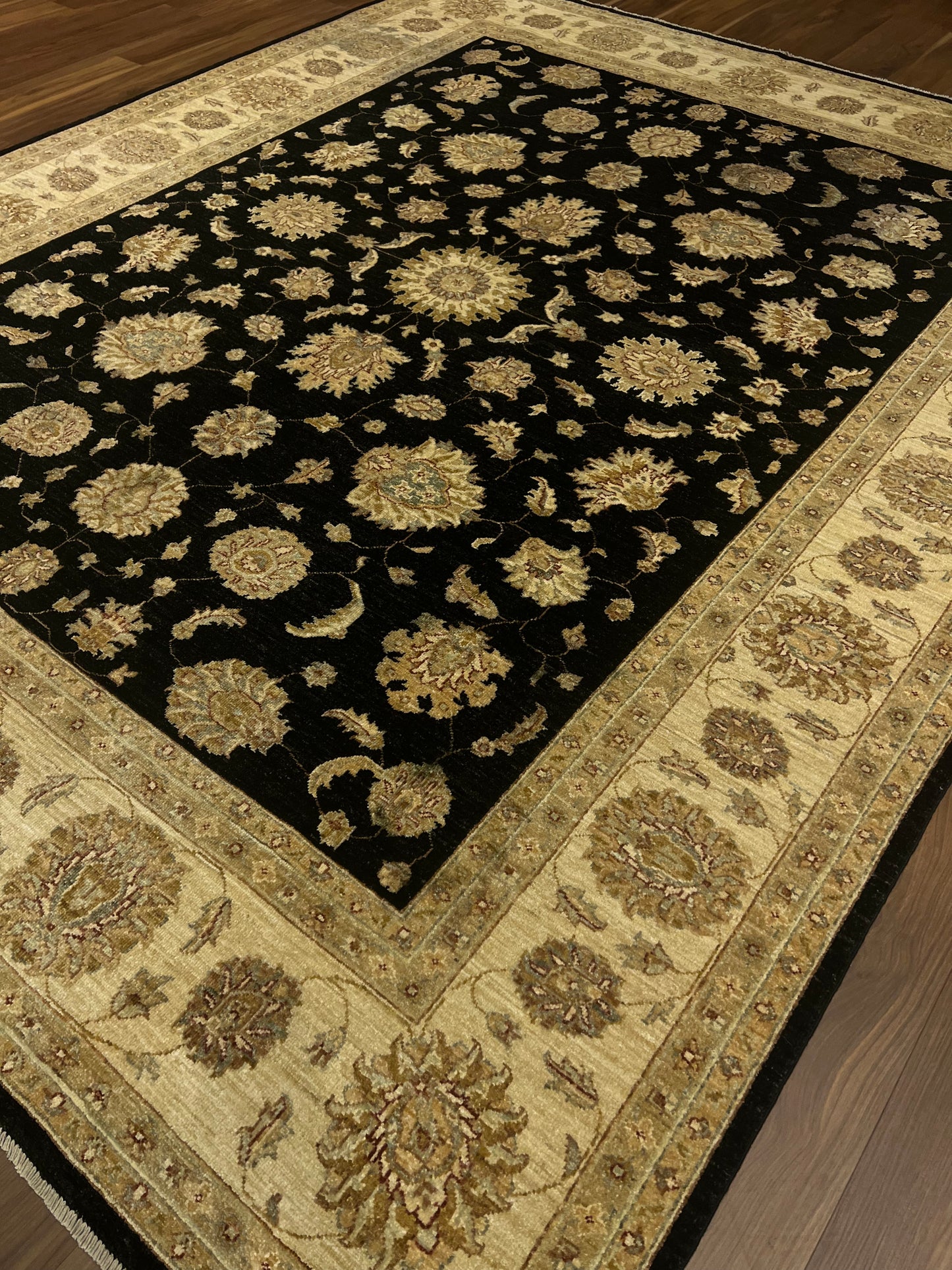 Transitional Usak MP5264 - 8.3 x 10