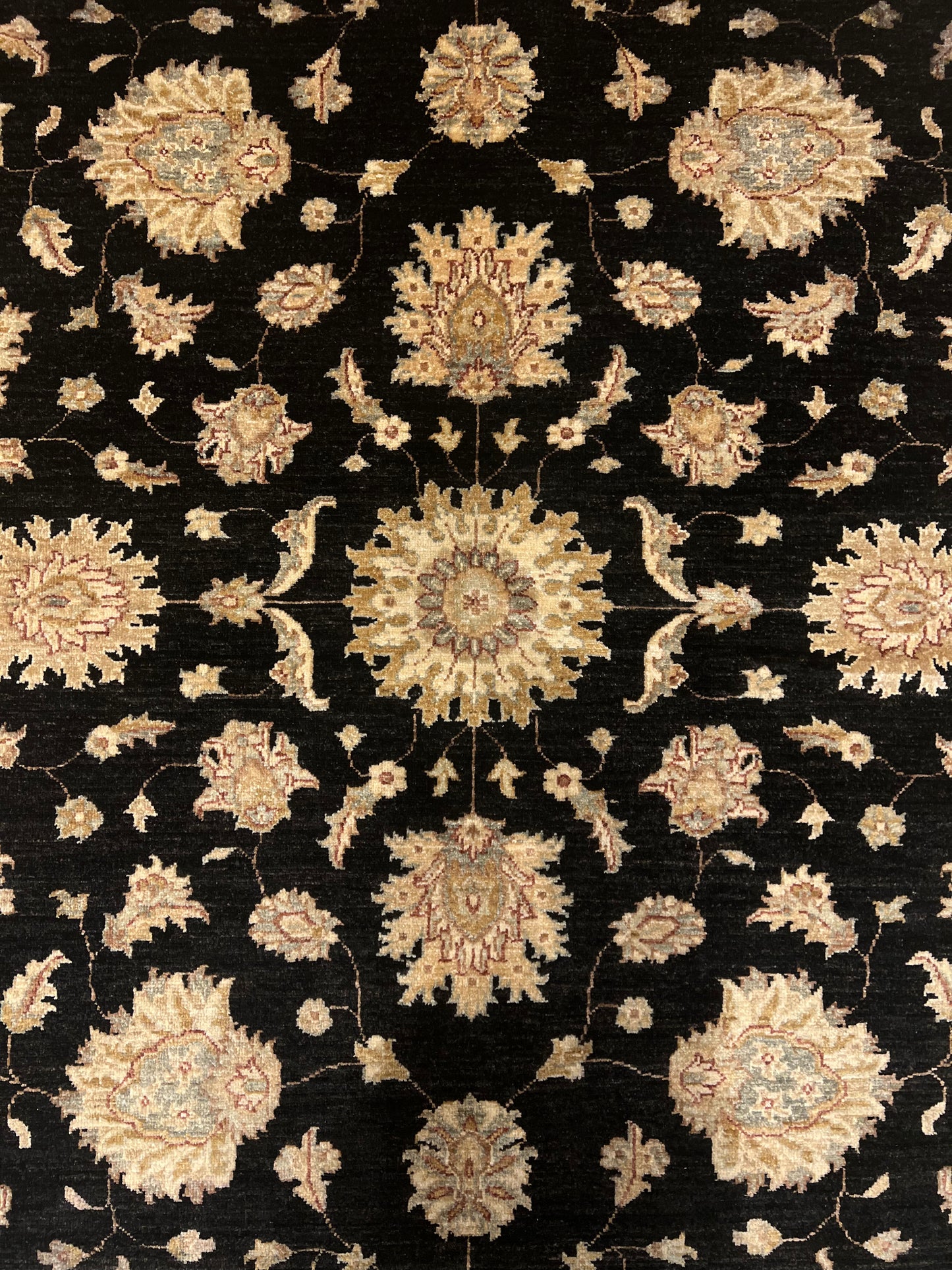 Transitional Usak MP5264 - 8.3 x 10