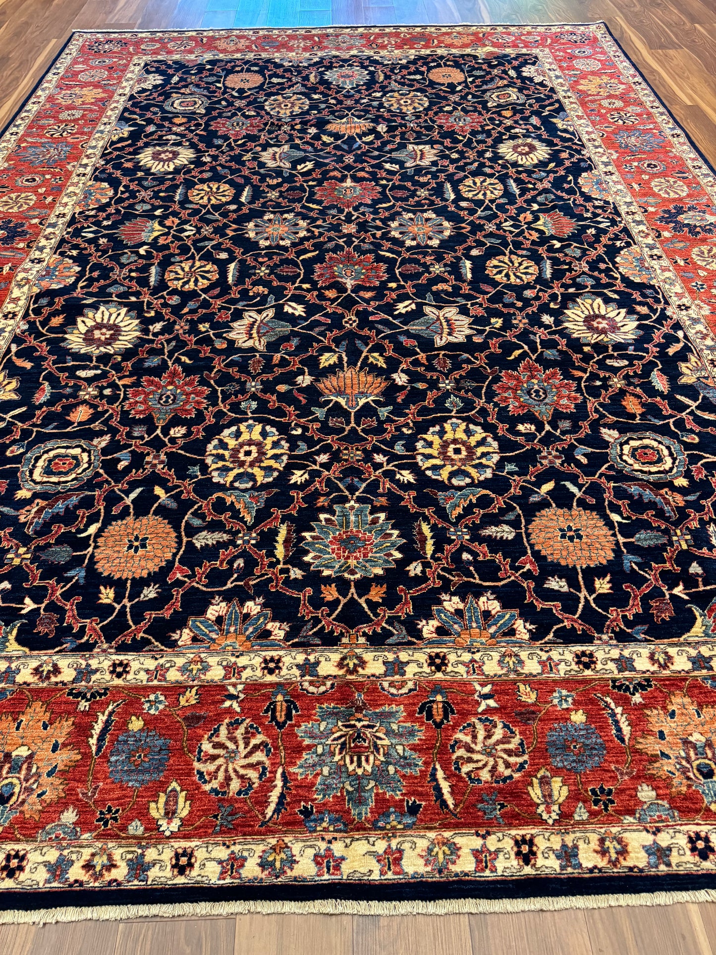 Bidjar (Ariana) MP6231 - 9.7 x 13.8