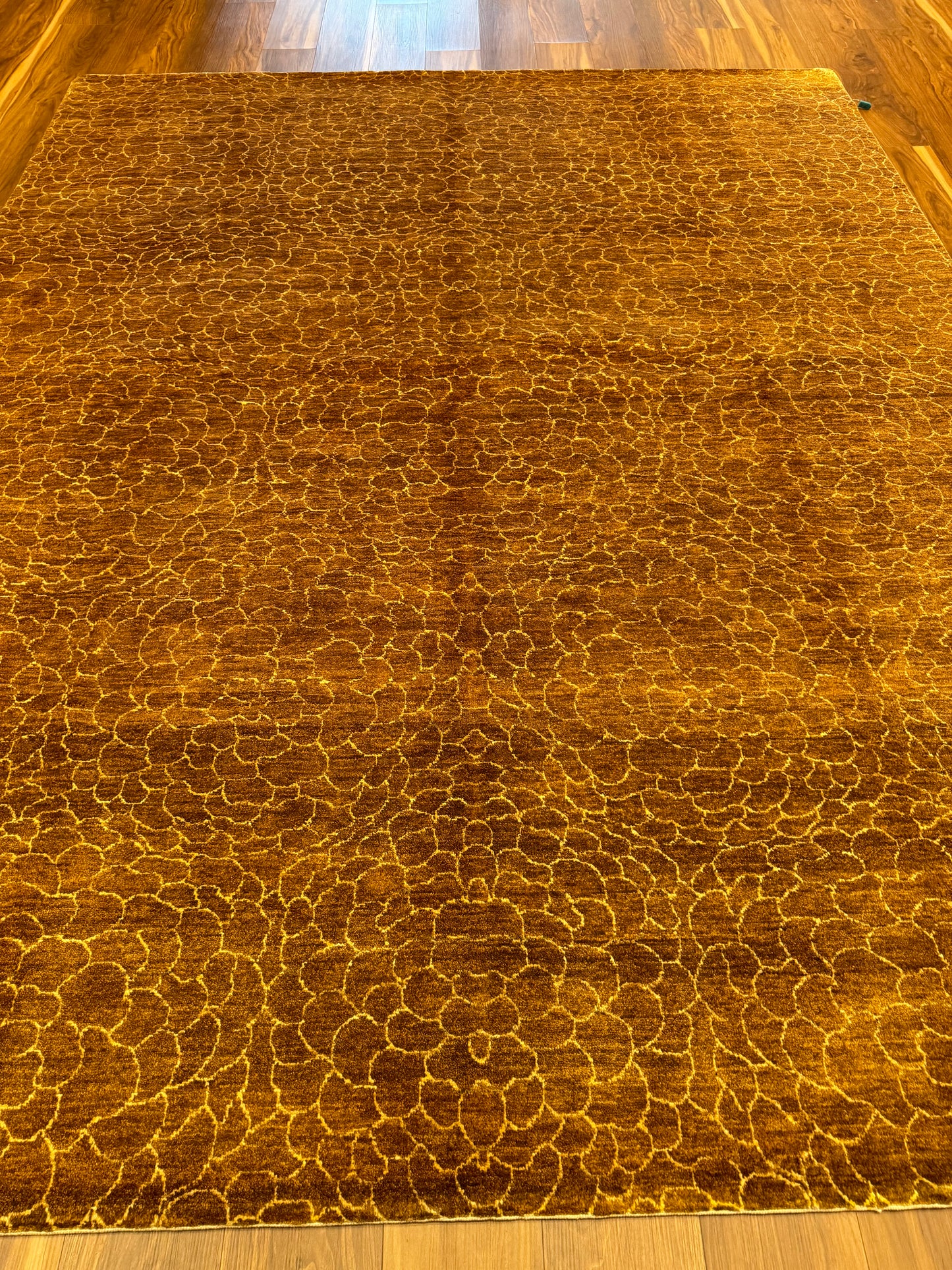 Modern Striped MP6499 - 8 x 10.1