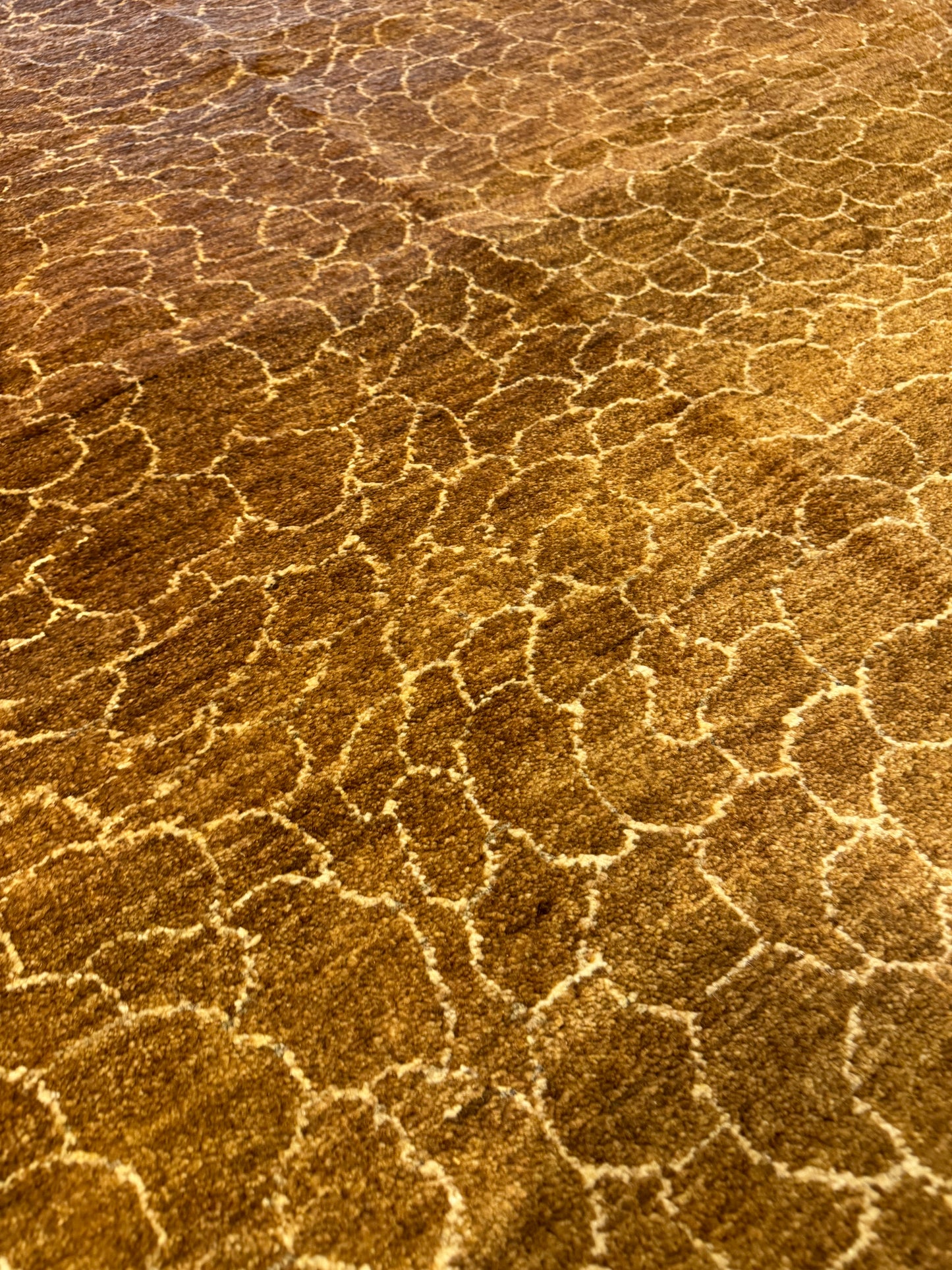 Modern Striped MP6499 - 8 x 10.1