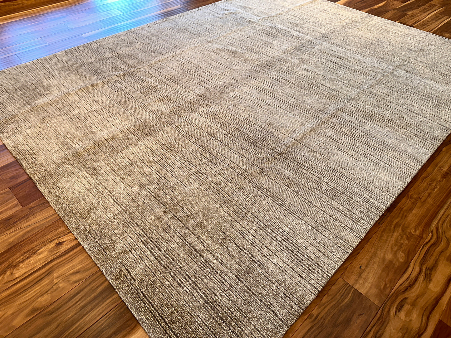 Modern Striped Area Rug SR6001 - 9.2 x 12.2