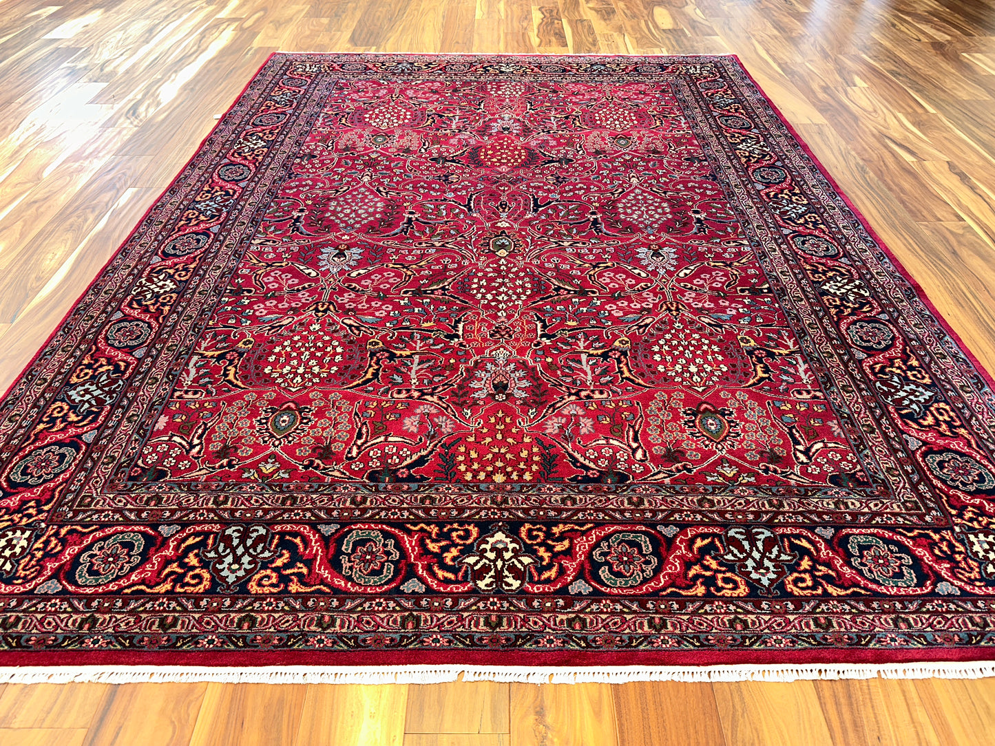 Bahktiari SR6171 - 8.9 x 12