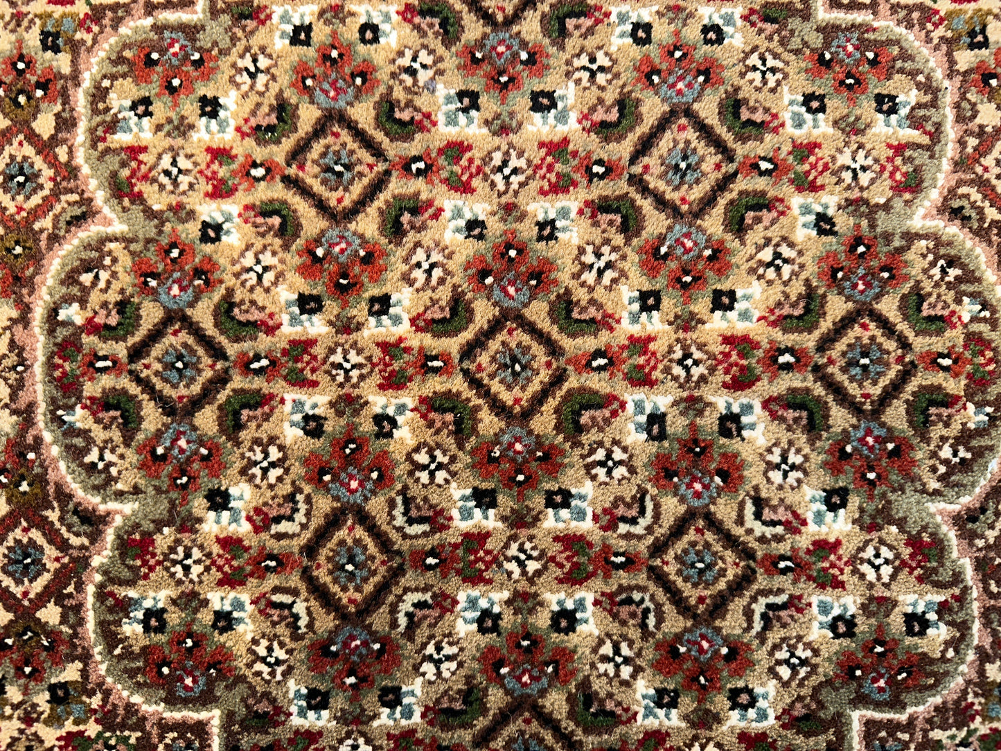 Tebriz SR6353 - 9.6 x 13.6