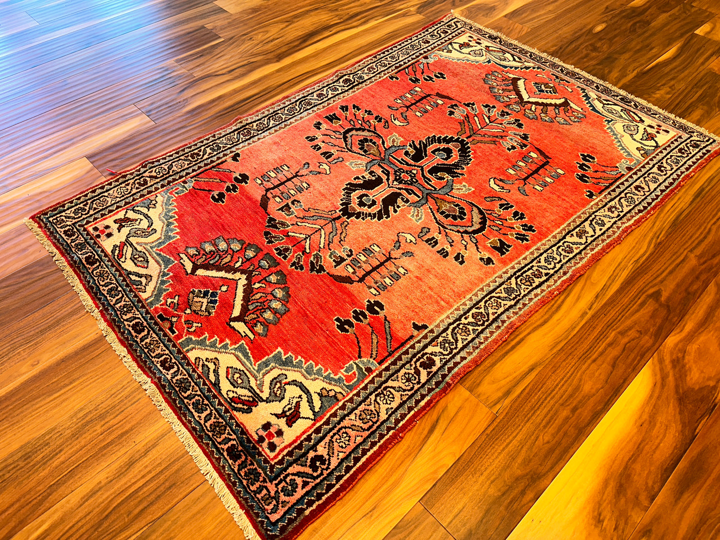 Sarouk SR6668 - 4.8 x 7.3