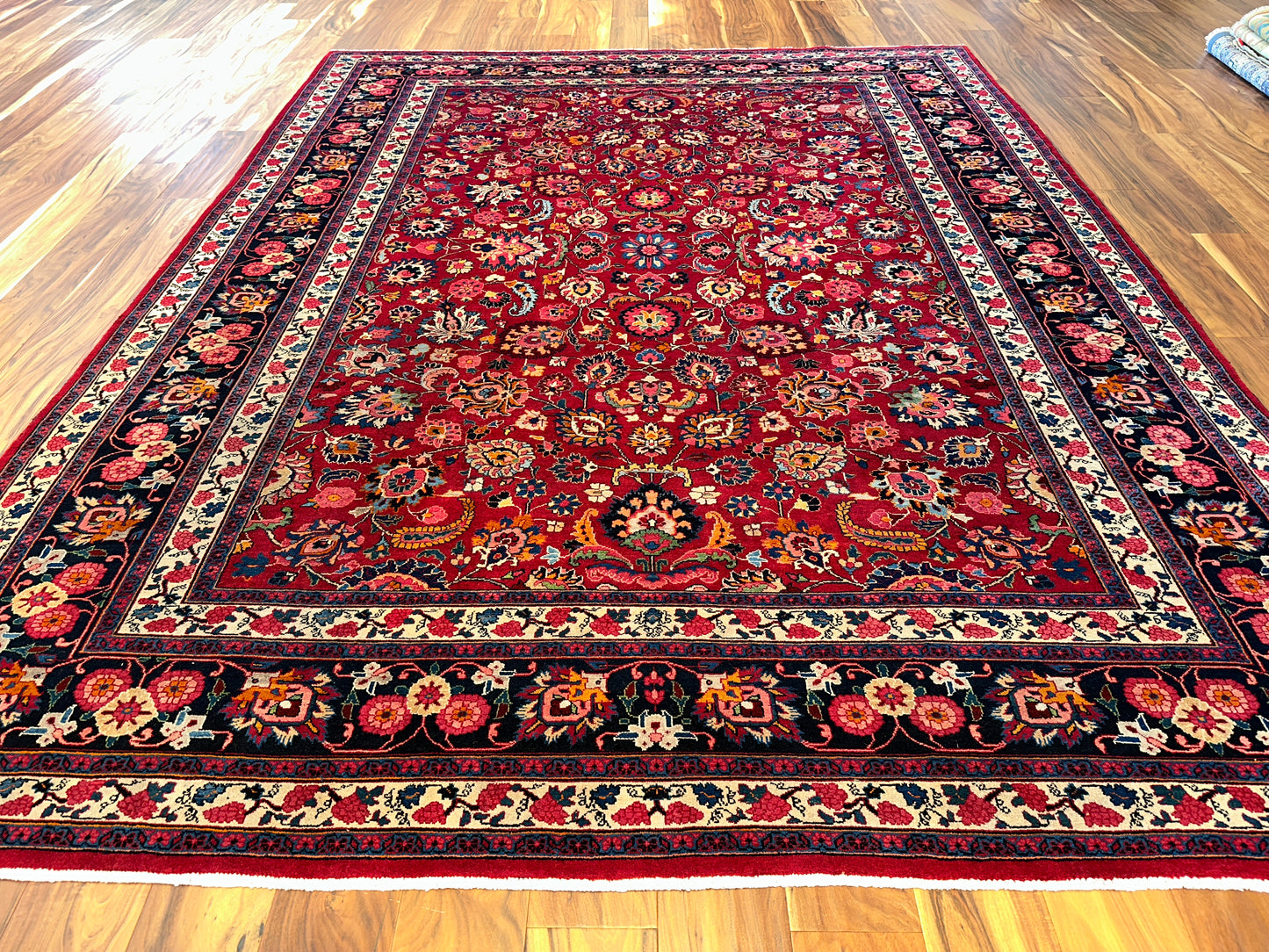 Sarouk SR6940 - 9.10 x 12.8